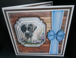 8x8 Great Dane 1 Mini  Kit - x6 A4 sheets  by Gill Dean