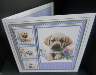 8x8 Baby Labrador Mini Kit - x5 A4 Sheets  by Gill Dean