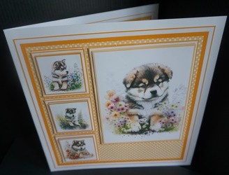 8x8 Baby Malamute Mini Kit - x5 A4 Sheets  by Gill Dean