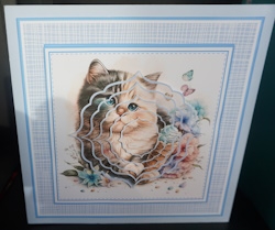 8x8 Pretty Kitty Mini Pyramage Kit - x6 A4 sheets  by Gill Dean