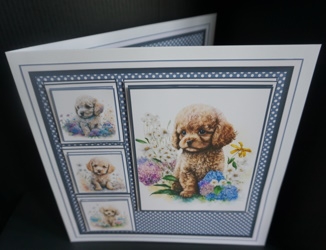 8x8 Baby Poodle Mini Kit - Decoupage, & Pyramage - x5 A4 sheets  by Gill Dean