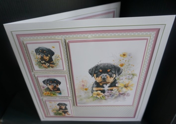 8x8 Baby Rottweiler Mini Kit - Decoupage, & Pyramage - x5 A4 sheets  by Gill Dean