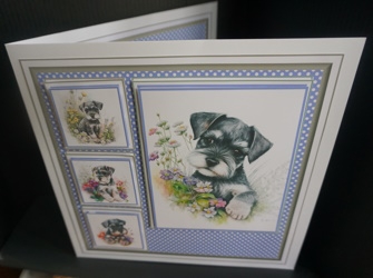 8x8 Baby Schnauzer Mini Kit - Decoupage, & Pyramage - x5 A4 sheets  by Gill Dean