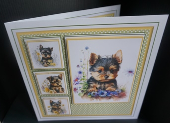 8x8 Yorkie Mini Kit - x5 A4 Sheets  by Gill Dean