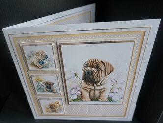 8x8 Sharpei Mini Kit - x5 A4 sheets  by Gill Dean