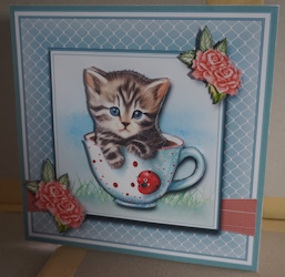 7x7 Cute Kitten in a cup 1 Card Front, Decoupage & Sentiments by Gill Dean