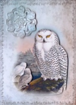 Vintage Birds 5, Snowy Owl by Gill Dean