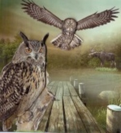 Owls in Nature Topper with Decoupage by Gill Dean