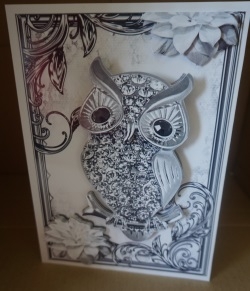 Silver Sparkle Owl with Flowers in Ornate Frame by Gill Dean