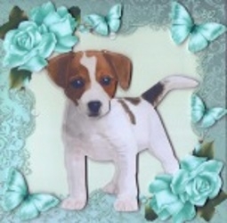 Gorgeous Jack Russel with Roses 8x8 Mini Kit by Gill Dean