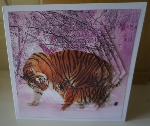 Because We Love Furries - Gorgeous Tigers in the Snow 4+tag+ by Gill Dean