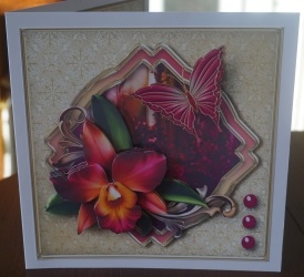 Exotic Orchid Layered Card Mini Kit by Gill Dean