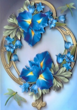Beautiful Blue Iris On Golden Frame by Gill Dean