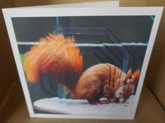 Because We Love Furries - Rare Red Squirrel + Insert & Tag by Gill Dean