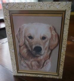 Golden Lab Sheet by Gill Dean