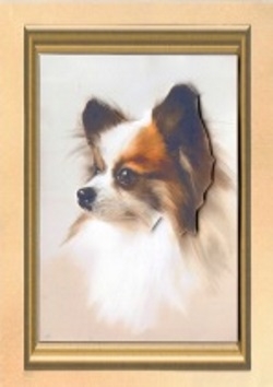 Papillon Sheet by Gill Dean