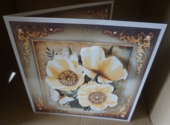 Vintage Cream Poppies for All Occasions Card Mini Kit by Gill Dean