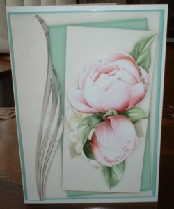 Beautiful Pink Peony  by Gill Dean