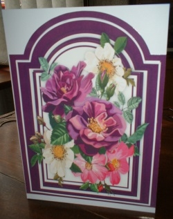 Beautiful Mixed Roses on  Plum Mat  by Gill Dean