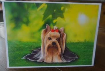 Yorkshire Terrier Card Front by Gill Dean