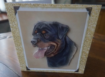 Spud Decoupage by Gill Dean