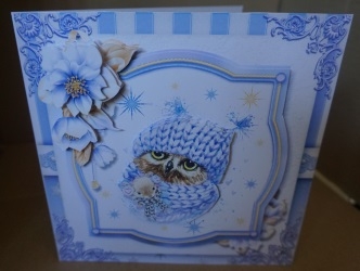 Hope Your Christmas is a Hoot! by Gill Dean