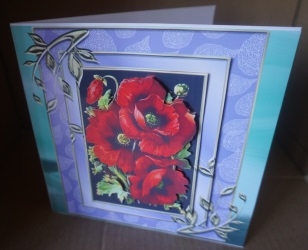 Delightful Poppies 7 x 7  by Gill Dean