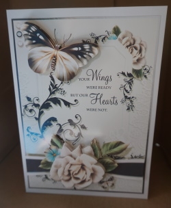Your Wings were Ready by Gill Dean