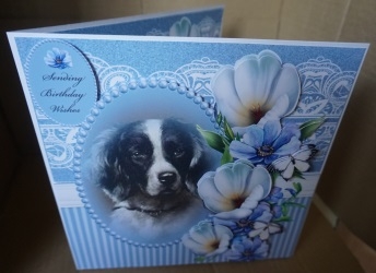 dog and flowers 1 by Gill Dean