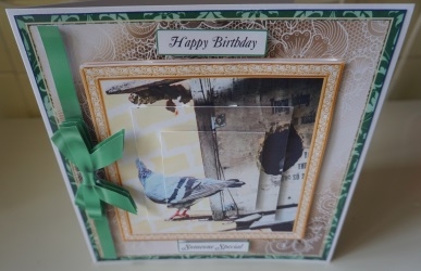 HOBBIES AND LEISURE MULTI SENTIMENT COLLECTION 10 PIGEONS / DOVES by Gill Dean