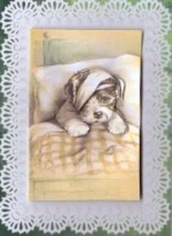 Puppy Dog with Sore Head in Bed A5 Decoupage Get Well Card by Gill Dean