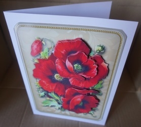 Lovely Red Poppies  by Gill Dean