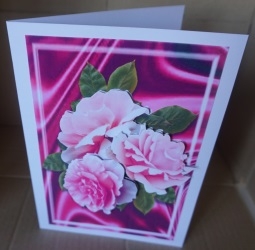 beautiful rose greetings pink by Gill Dean