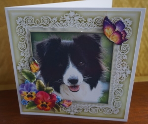 Border Collie Puppy Dog 8 x 8 Card Topper With Pansy Decoupage by Gill Dean