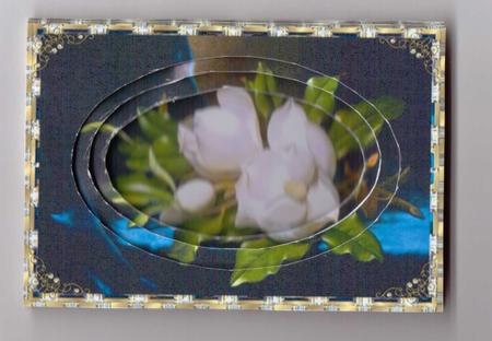 White Camilia on Blue Velvet by Gill Dean