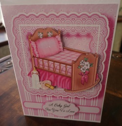 Baby Girl Cot by Gill Dean