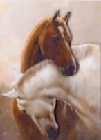 Beautiful Pair of Horses Entwined Together by Gill Dean