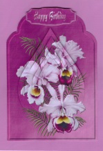 Orchid Fancy Top with Teardrop Pyramage by Gill Dean