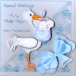 Special Delivery - Twin Baby Boys by Gill Dean