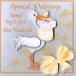 Special Delivery - Twins Boy and Girl by Gill Dean