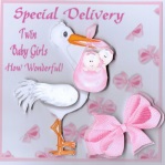 Special Delivery - Twin Girls by Gill Dean