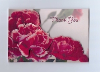 Carnations Card Front Plus - Thank You by Gill Dean