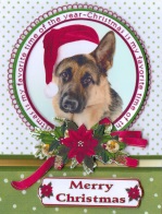 German Shepherd Christmas Wishes by Gill Dean