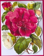 Pink & White Flowers Easy to Cut Decoupage by Gill Dean