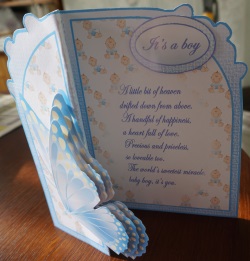 Butterfly Fold Back baby Boy by Gill Dean