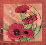 Poppies by Gill Dean
