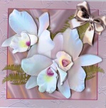 Fabulous Orchids by Gill Dean