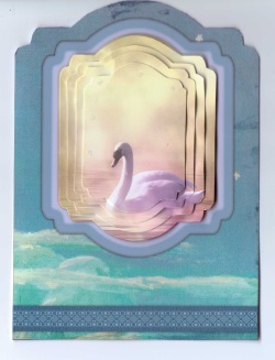 Swan by Moonlight by Gill Dean