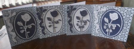 Monochrome Flowers by Gill Dean