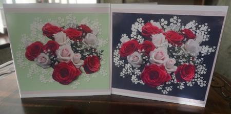 Pink Roses & Baby's Breath by Gill Dean